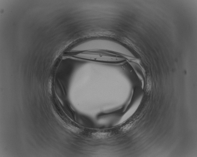 X0000073400448200608251503