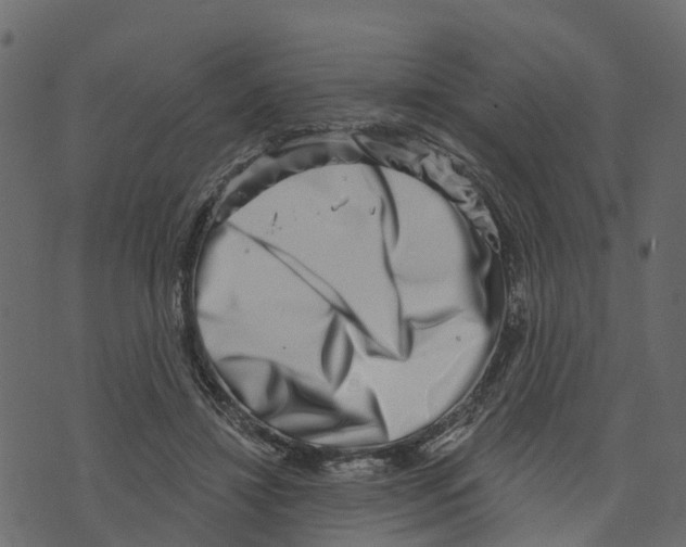 X0000073400452200608251503