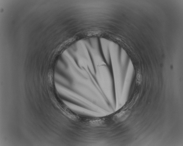 X0000073400468200608251504