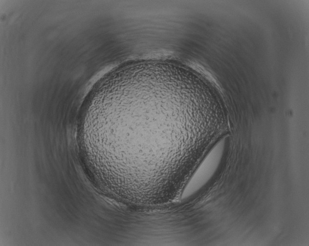 X0000073400483200608251503