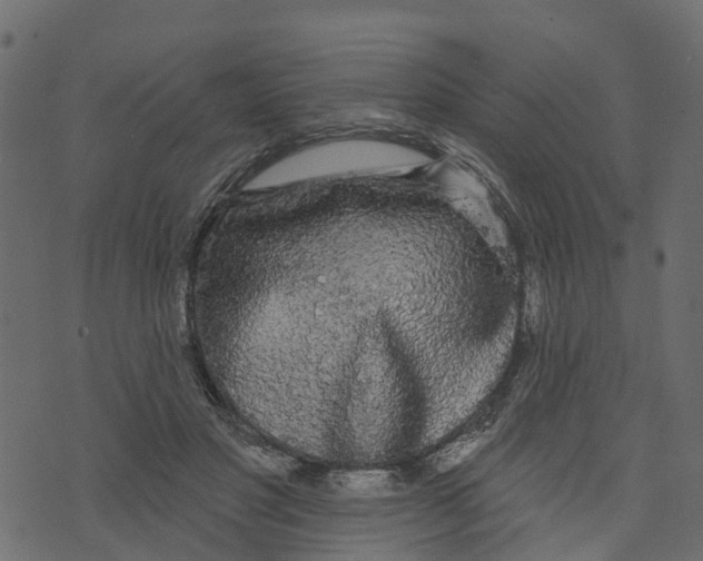 X0000073400501200608251503