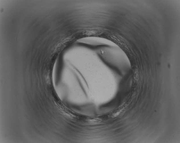 X0000073400510200608251503