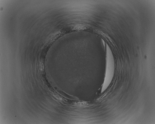 X0000073400517200608251503