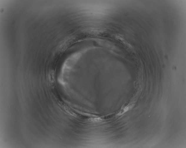 X0000073400528200608251502