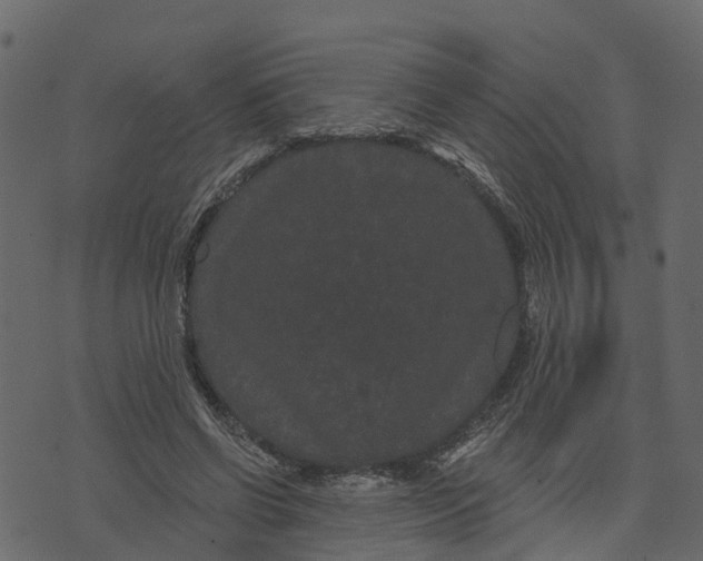 X0000073400542200608251502