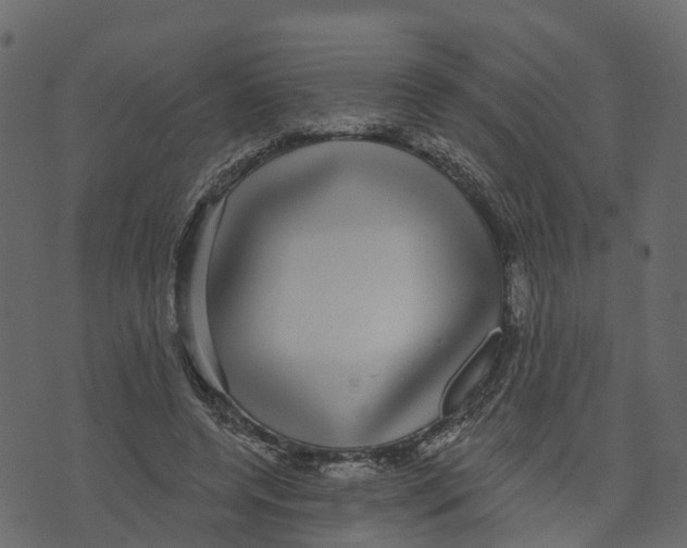 X0000073400544200608251502