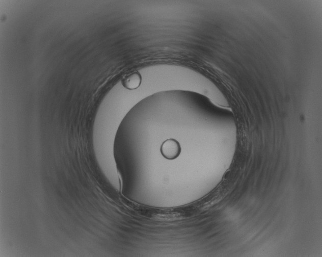 X0000073400556200608251502
