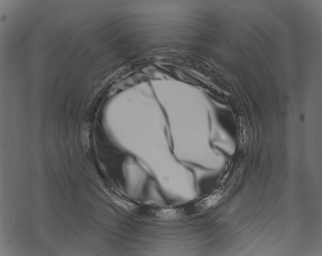 X0000073400562200608251502