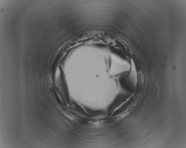 X0000073400564200608251502