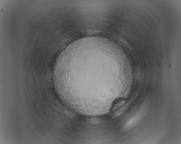 X0000073400565200608251502