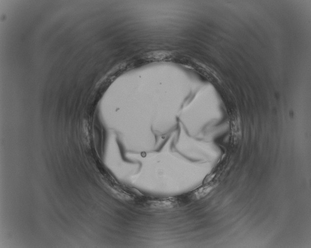 X0000073400572200608251502