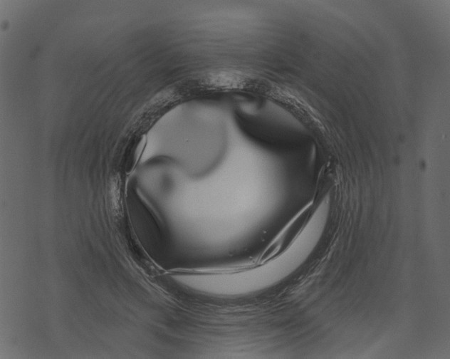 X0000073400597200608251501