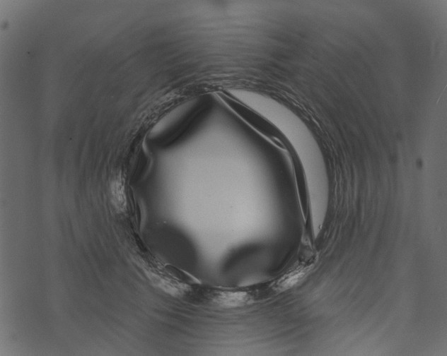 X0000073400609200608251501