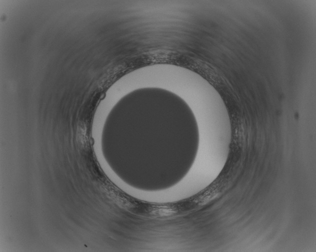 X0000073400610200608251501