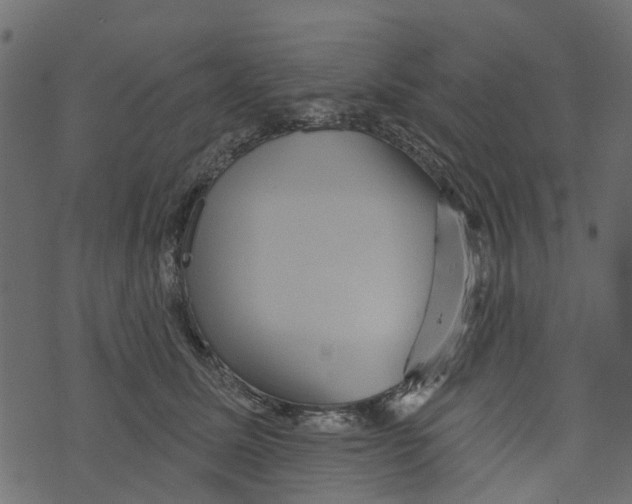 X0000073400611200608251501
