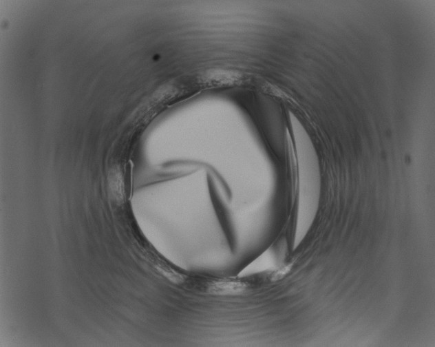 X0000073400617200608251501