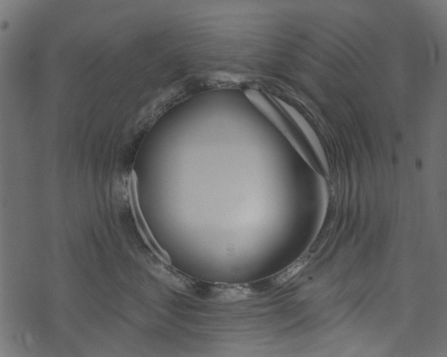 X0000073400621200608251501