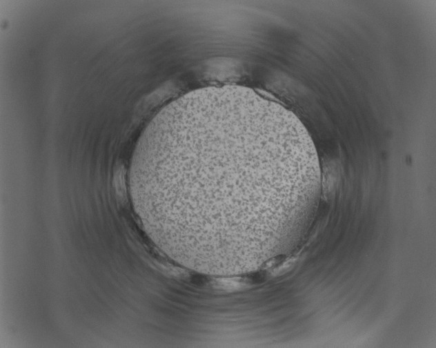 X0000073400623200608251501
