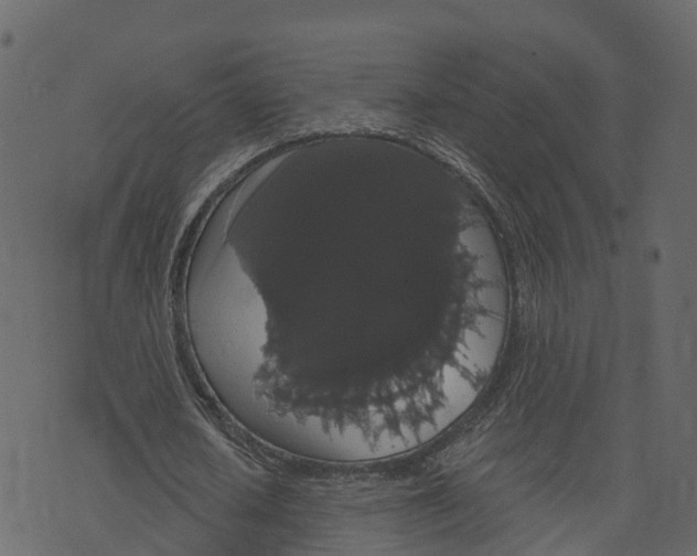 X0000073400626200608251500