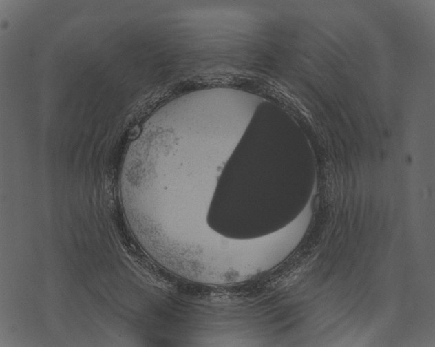 X0000073400641200608251500