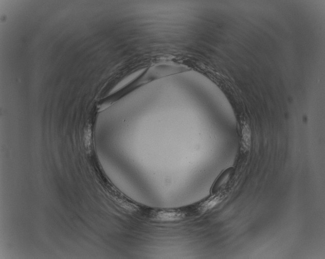 X0000073400657200608251500