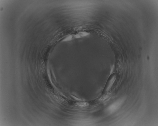 X0000073400659200608251501