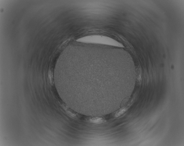 X0000073400669200608251501