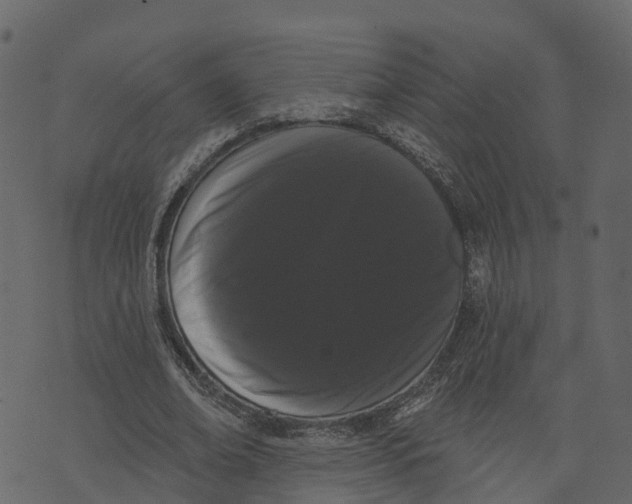 X0000073400678200608251500