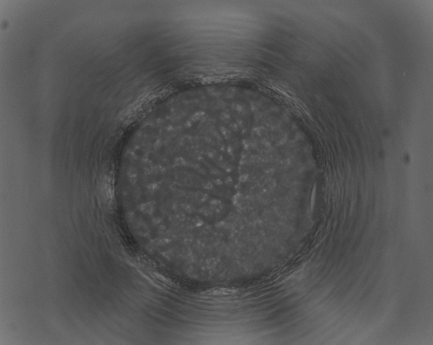 X0000073400691200608251500