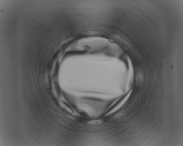 X0000073400700200608251500