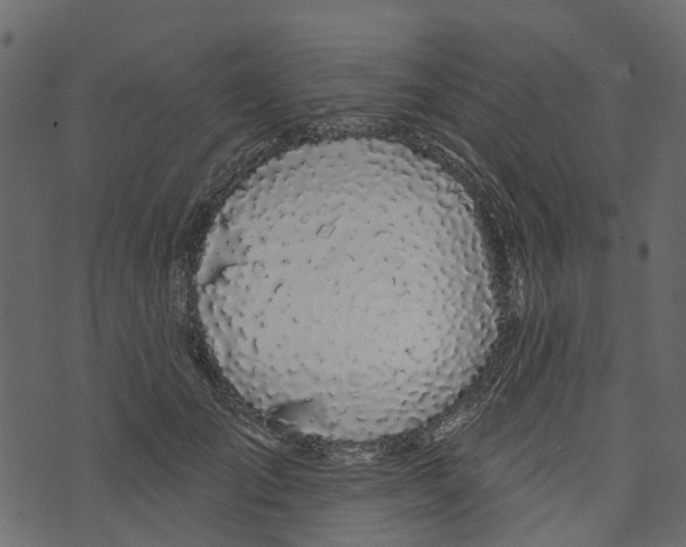 X0000073400701200608251500