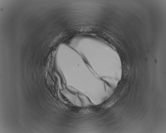 X0000073400704200608251459