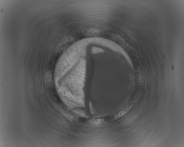 X0000073400711200608251459