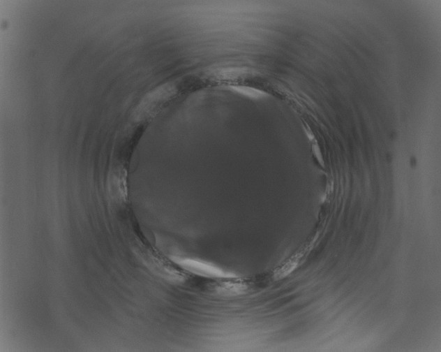 X0000073400718200608251459