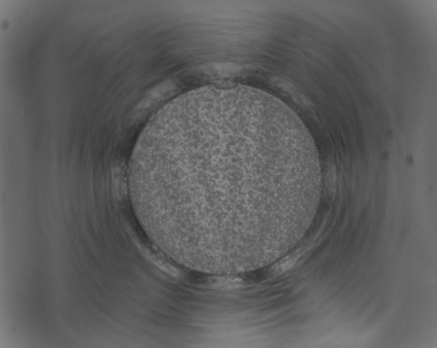 X0000073400719200608251459