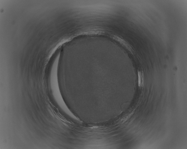X0000073400723200608251458