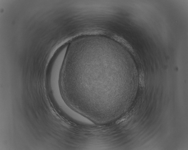 X0000073400724200608251458