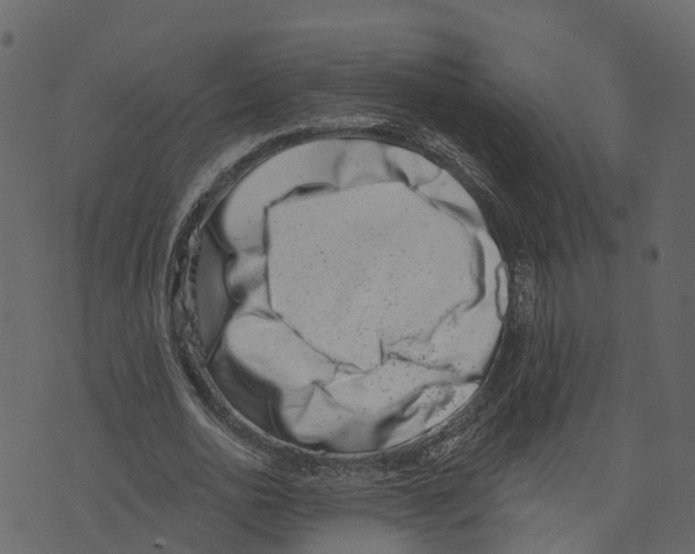 X0000073400726200608251458