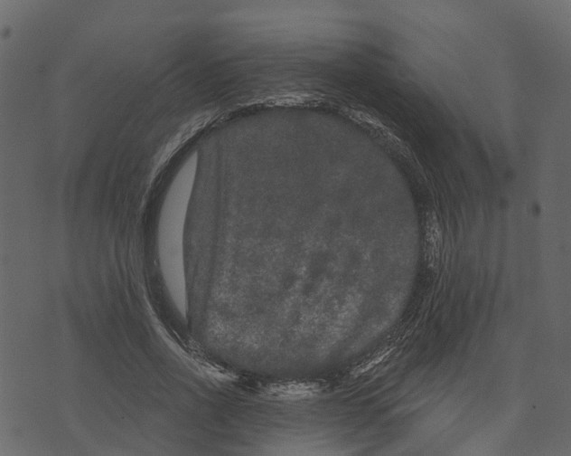 X0000073400734200608251459