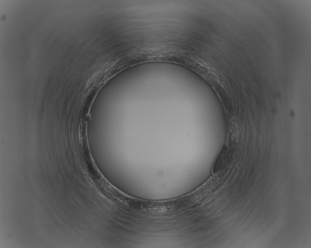 X0000073400740200608251459