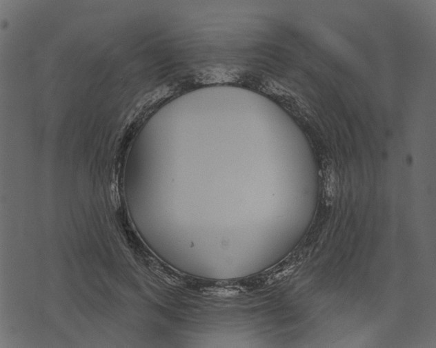 X0000073400743200608251459