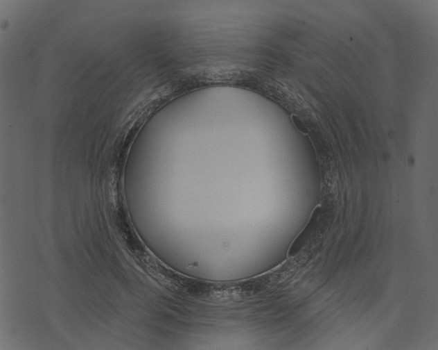 X0000073400744200608251459