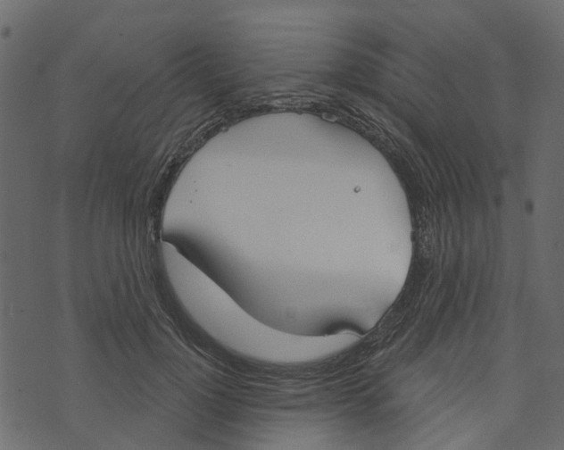 X0000073400748200608251459
