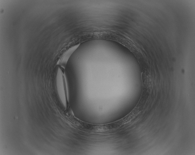 X0000073400750200608251459