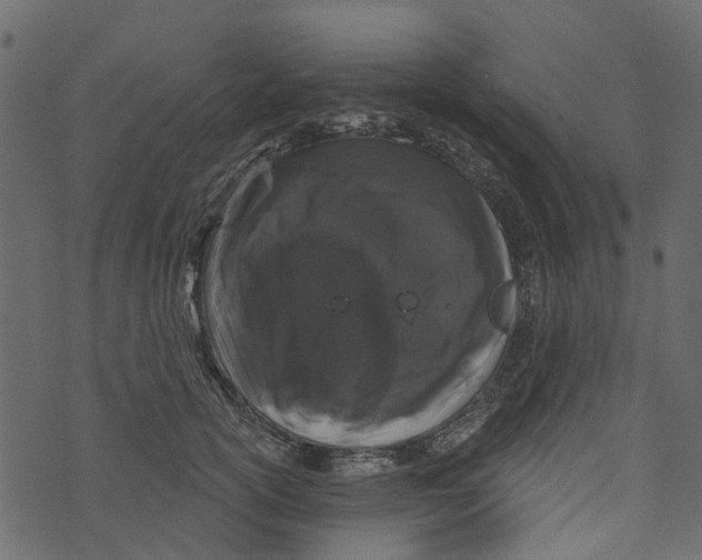 X0000073400754200608251459