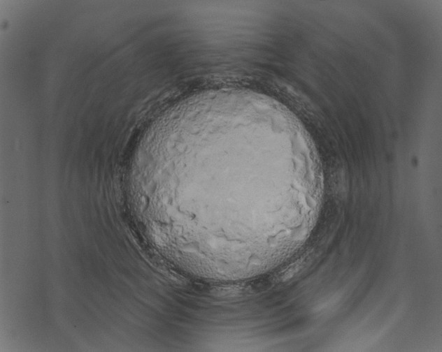 X0000073400757200608251459