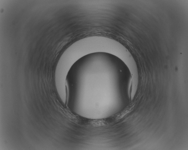 X0000073400762200608251459