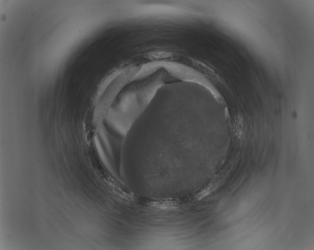 X0000073400763200608251459