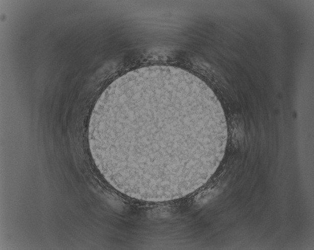 X0000073400769200608251458