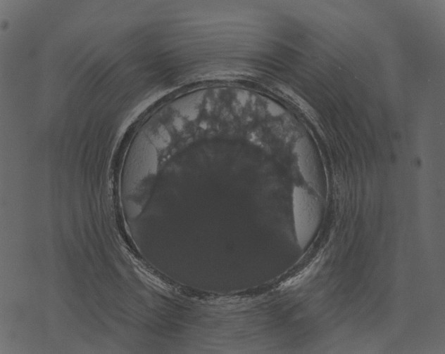 X0000073400779200608251458